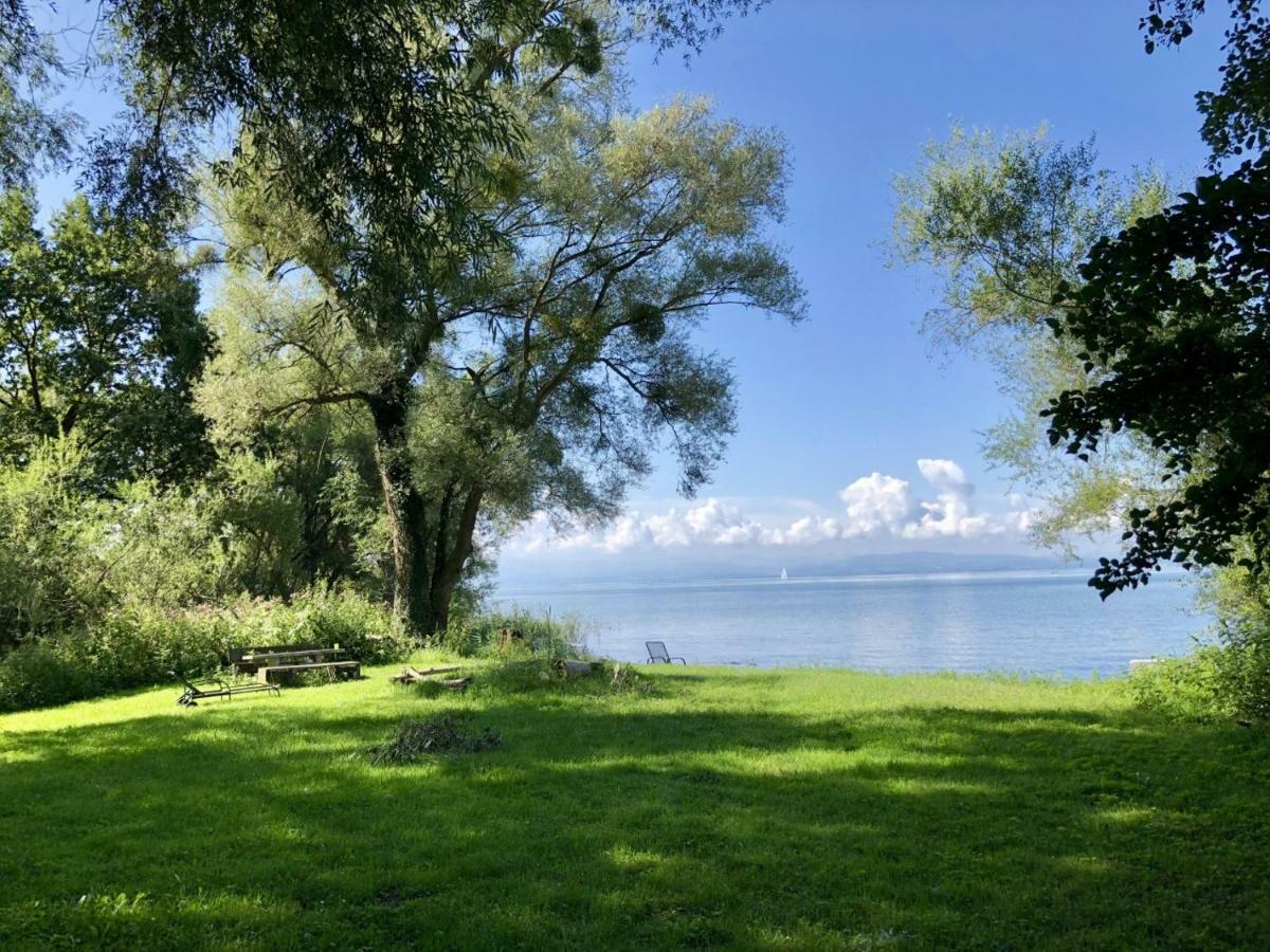 Wohlfuehl-Apartment Auenwald Im Naturschutzgebiet Mit Privatstrand ฟรีดริชส์ฮาเฟน ภายนอก รูปภาพ
